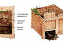 Правильный компост. Этапы изготовления