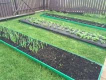 И грядки будут в порядке: выбираем ограждение