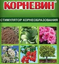 Как использовать Корневин и в чем отличие от Гетероауксина