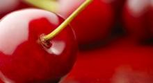 Применение ростовых веществ для предупреждения краснухи у вишни