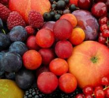 Уборка яблок, груш, смородины и крыжовника. Хранение яблок