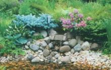 Вариант создания сада с искусственным ручьем